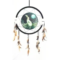 Dreamcatchers