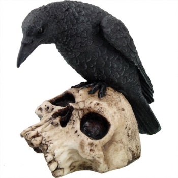 Ravens Remains 