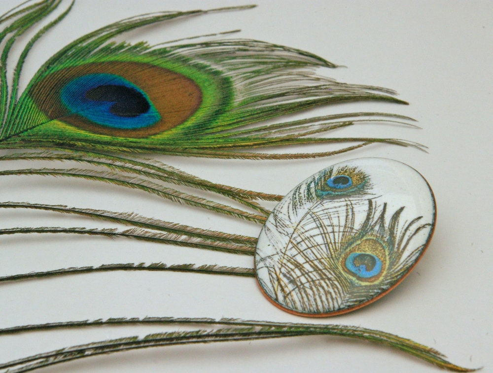 Peacock Feather Brooch