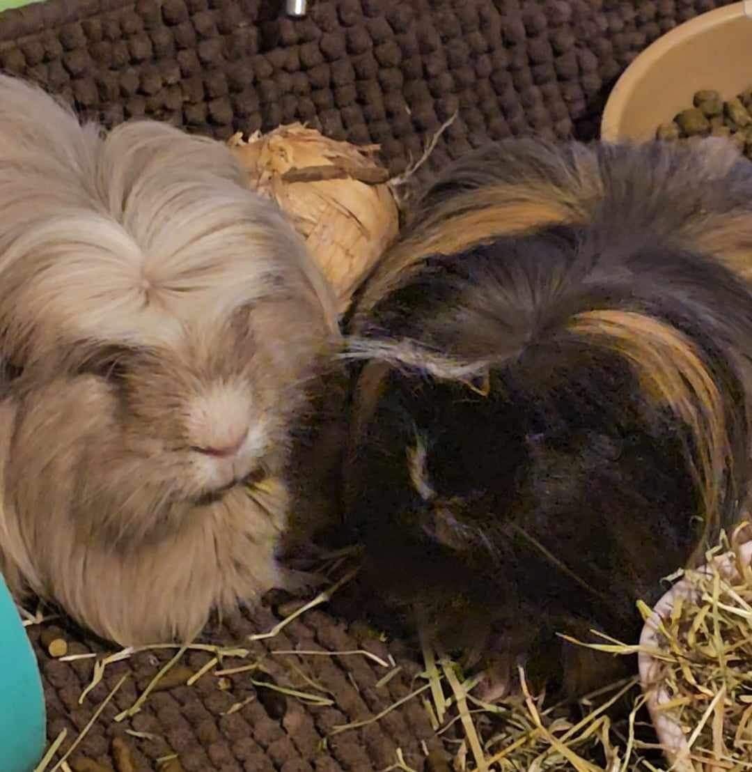 lennon