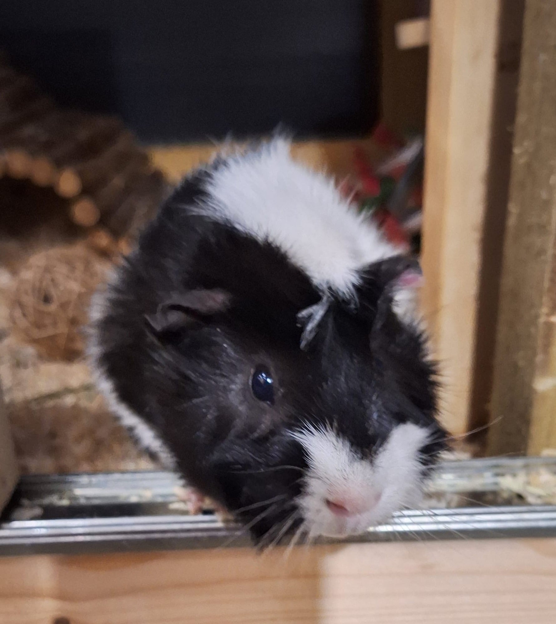 002ab45f-19fe-4e3c-83f4-9c38aaab3a3c