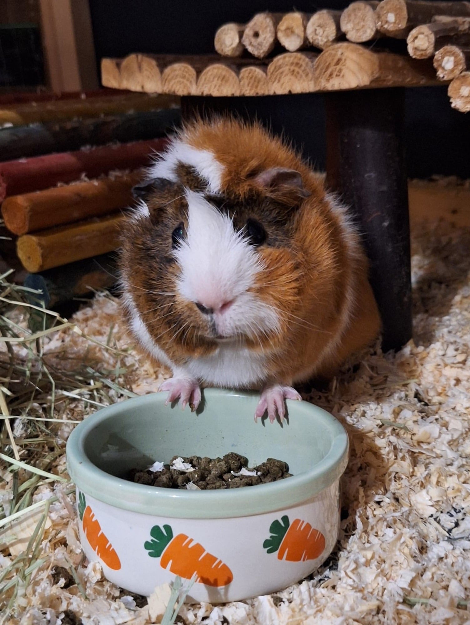 6c58dbca-4436-4284-923a-c92c12e71e7c