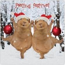 festive piggy