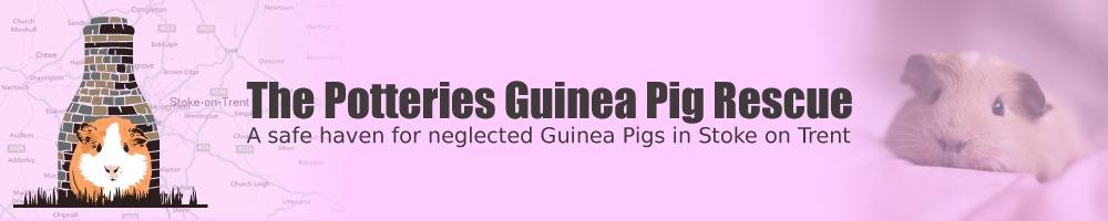 The Potteries Guinea Pig Rescue, site logo.