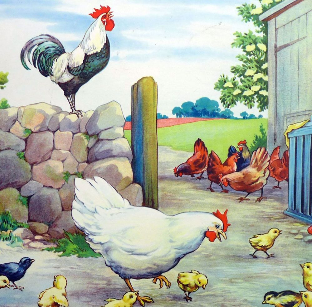 Vintage School Poster 1938 - The Hen & Her Chicks