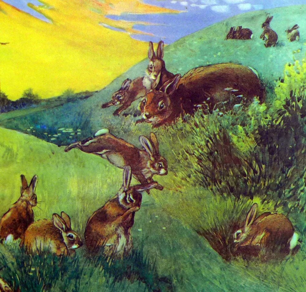 Vintage School Poster 1938 - Rabbits & Young Ones - Ernest Arris