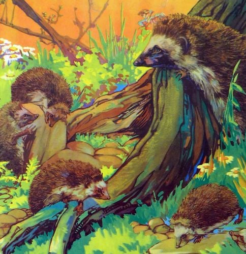 Vintage School Poster 1938 - Hedgehogs & Dormice