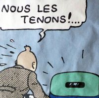 Tintin Fabric Panel - Tintin & Car - 21cm x 40cm - Blue or Taupe