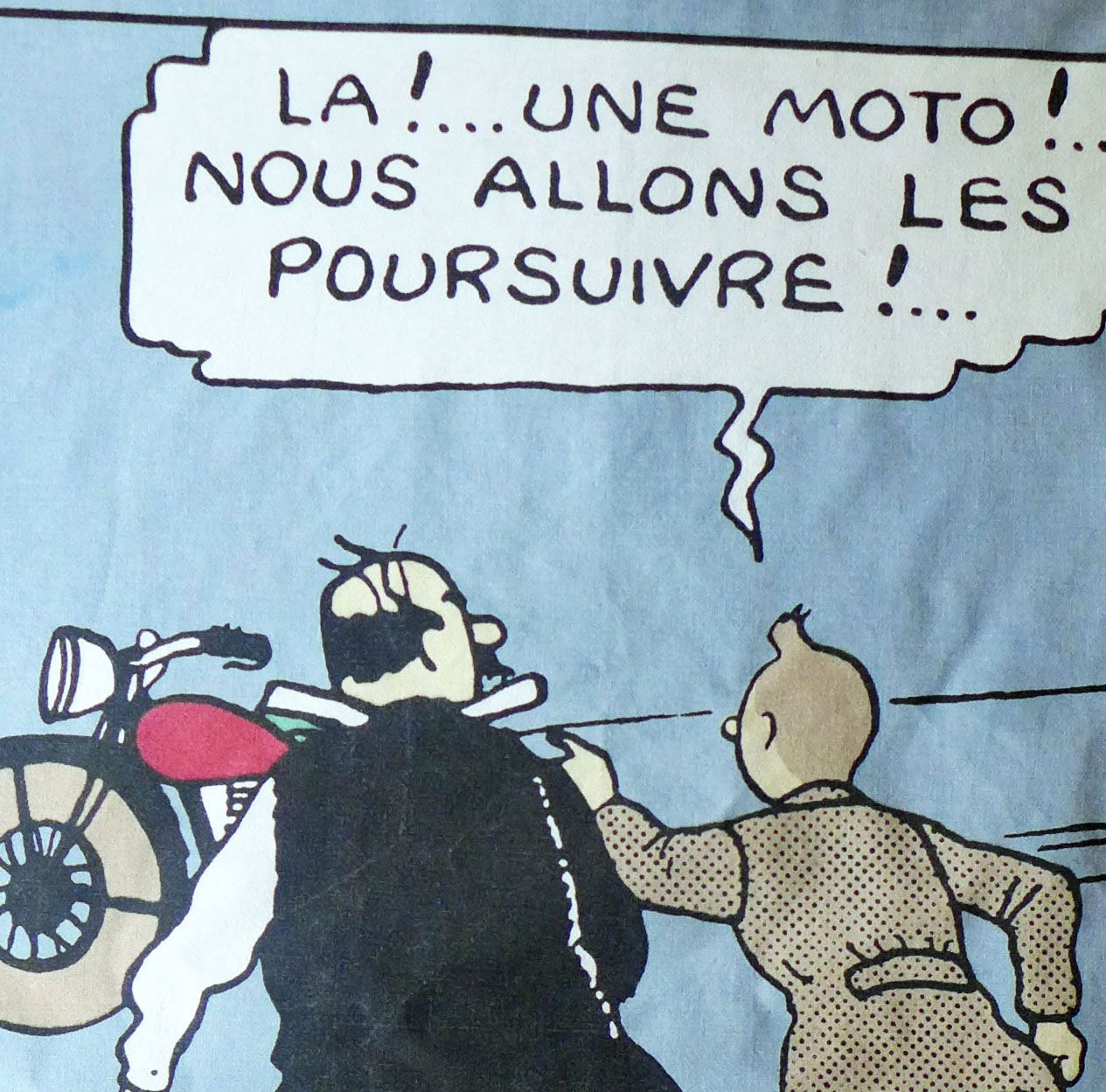 Tintin Fabric Panel - Look, A Bike - 38cm x 40 cm - Blue or Taupe