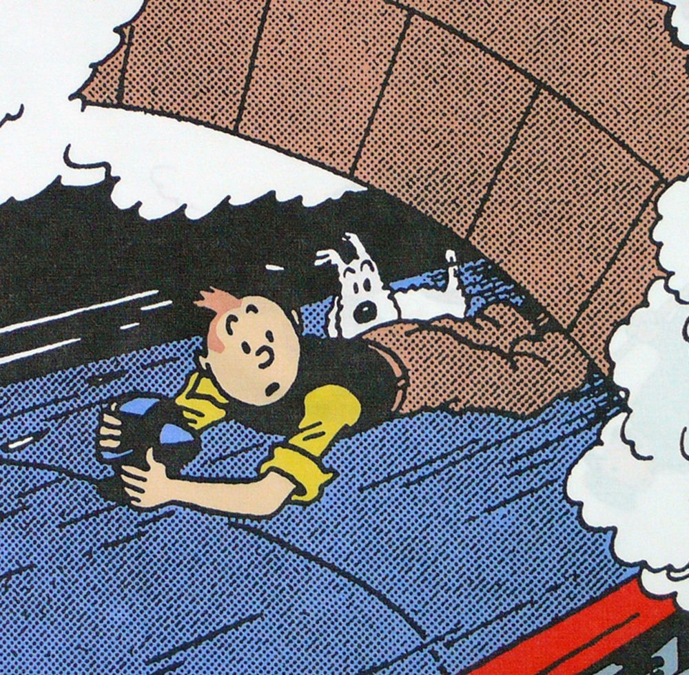 Tintin Cotton Panel - The Black Isle - Tintin Holds On
