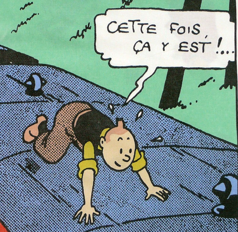 Tintin Cotton Panel - The Black Isle - Tintin Lands -  French/Belgian