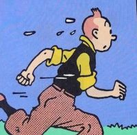 Tintin Cotton Panel - The Black Isle - Tintin Running