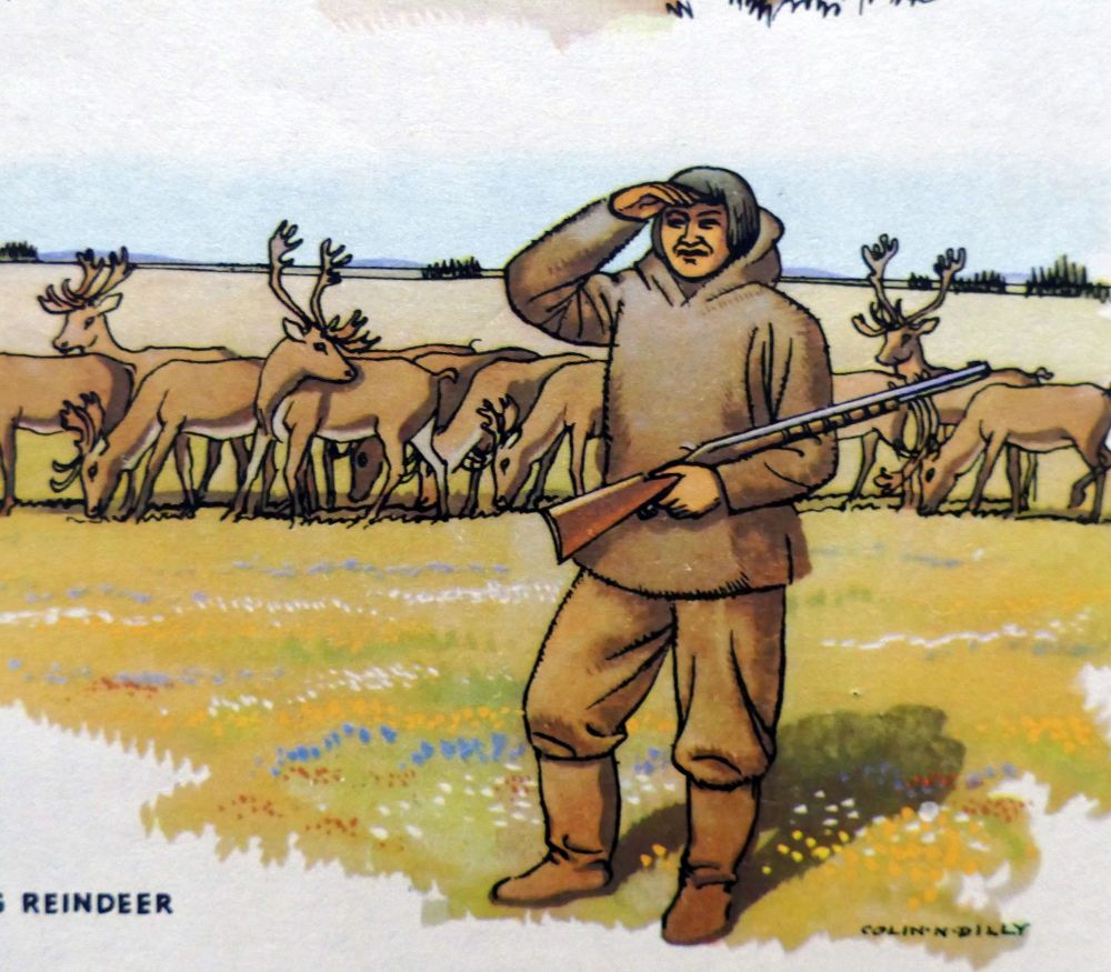 Vintage School Poster - Geography - Tundra