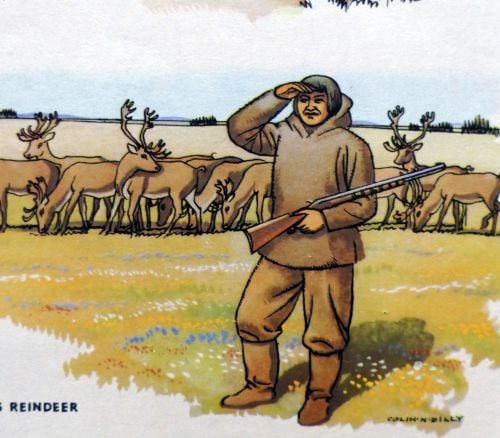 Vintage School Poster - Geography - Tundra