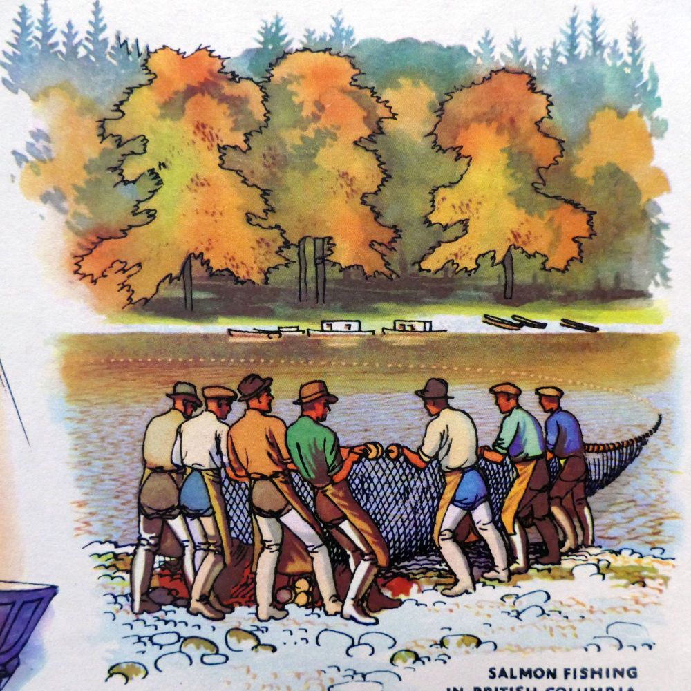 Vintage School Poster - Geography - Deciduous Forest