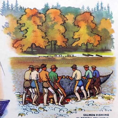 Vintage School Poster - Geography - Deciduous Forest