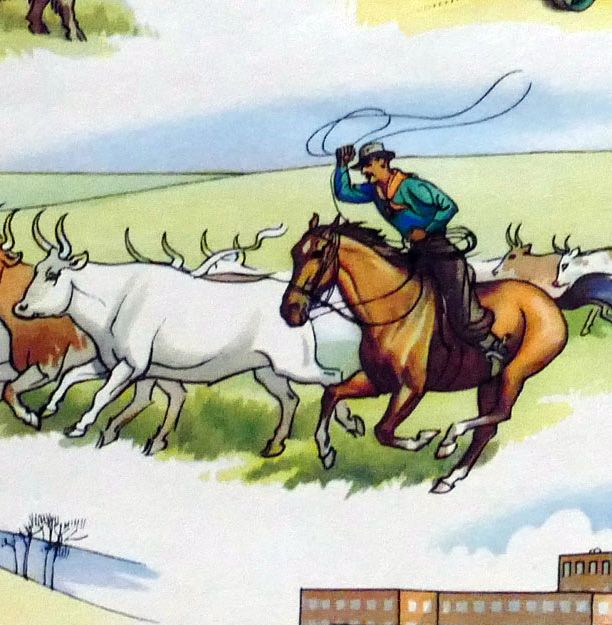 Vintage School Poster - Geography - Temperate Grasslands