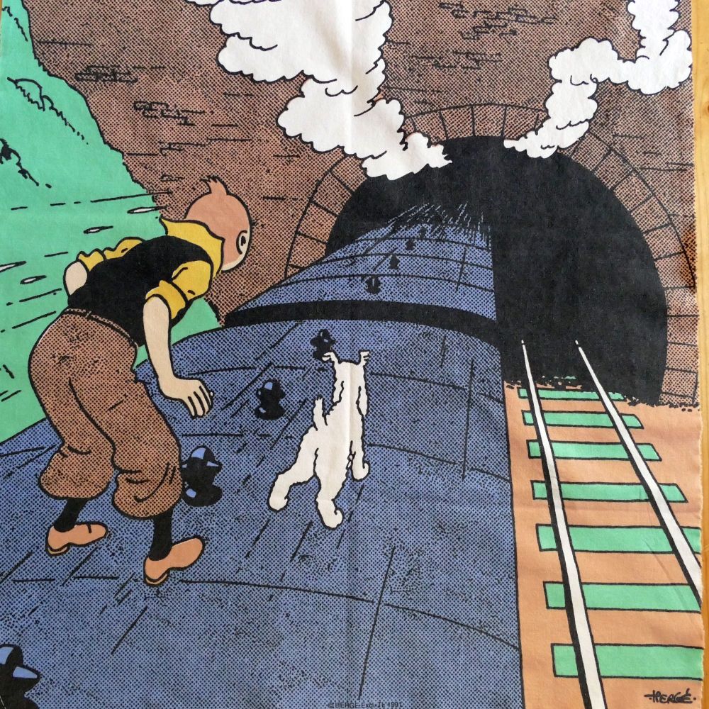 Tintin on the Train Panel - 55cm x 60cm