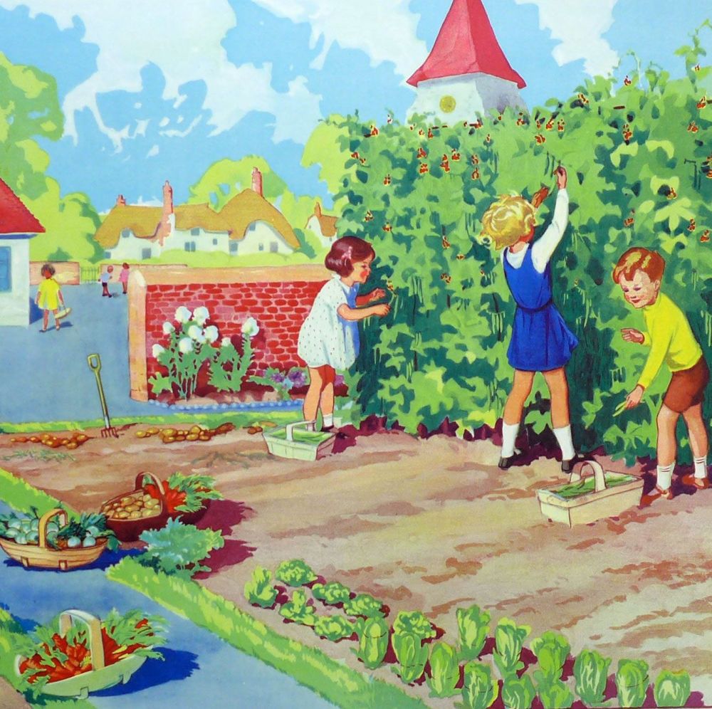 Vintage School Poster 1938 - The School Vegetable Garden