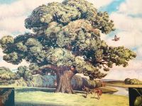 Vintage School Poster 1938 - The Oak Tree