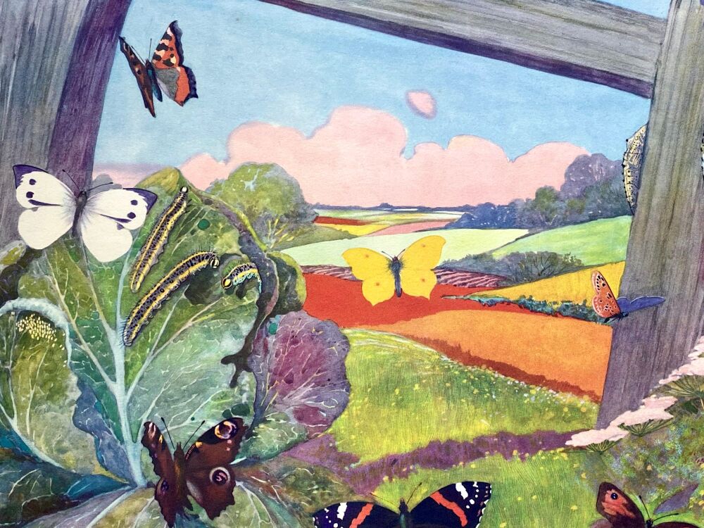 Vintage School Poster 1938 - Caterillars & Butterflies - Ernest Arris