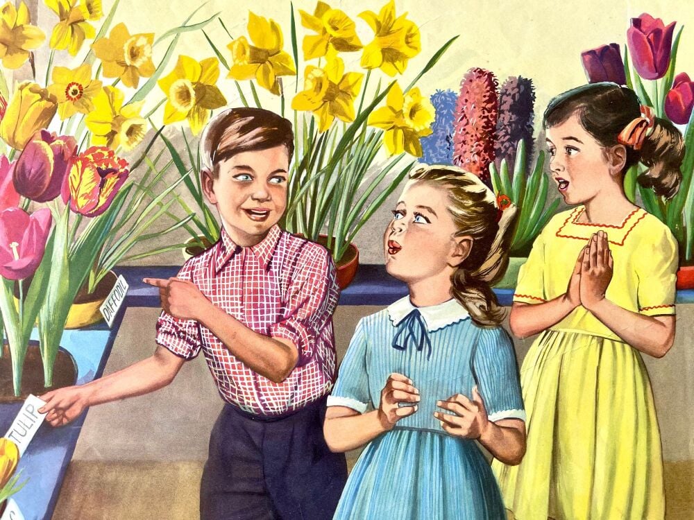 2 x Vintage School Poster - 1950's - Spring Bulbs