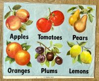 Vintage School Poster - 1950's/60's - Fruit & Vegetables