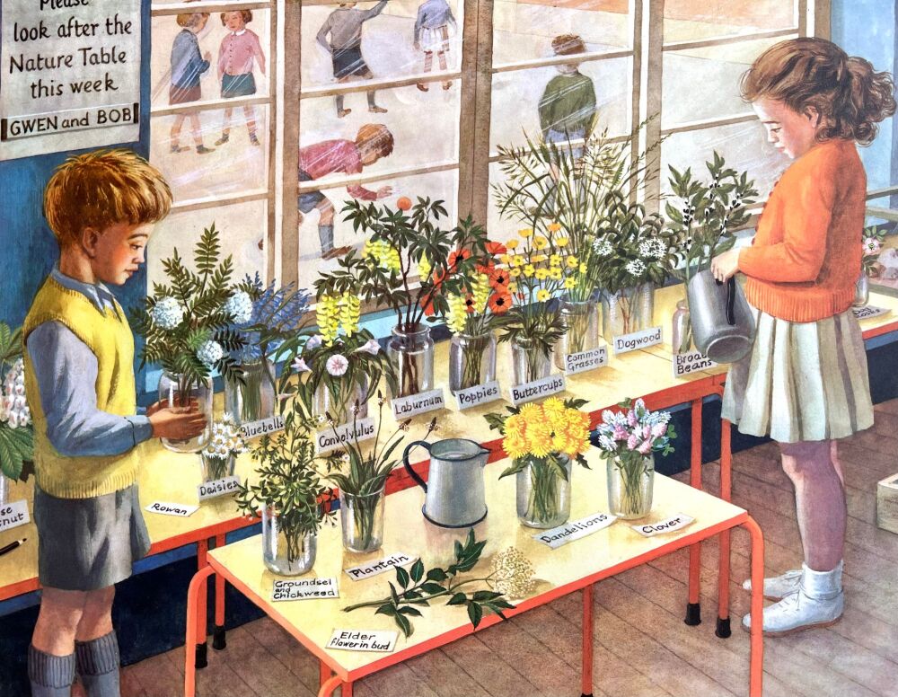 Vintage Classroom Poster - A Nature Display - 1962