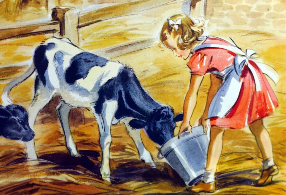 Vintage School Print - Feeding Calves by Eileen Soper