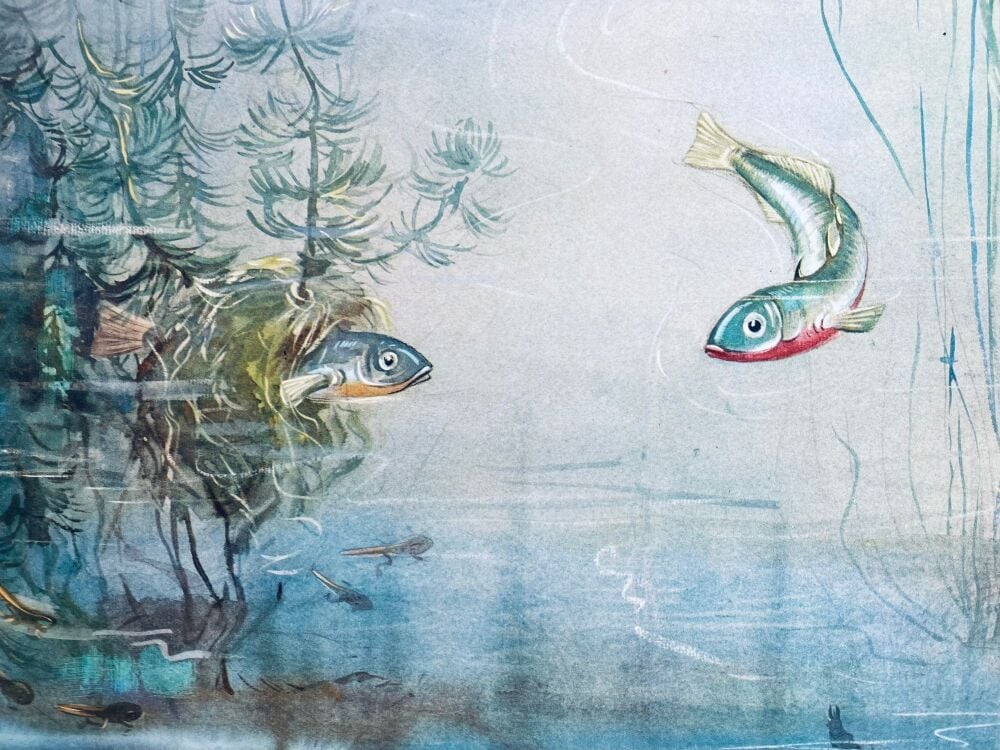 Vintage School Print - River Fish by Eileen Soper