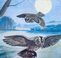 Vintage School Print - The Owl by Eileen Soper