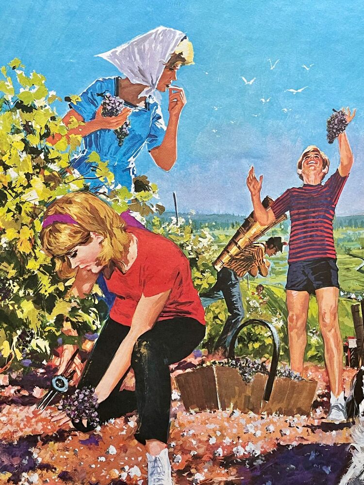 1960's French School Poster - Grape Picking/ Birthday Cake