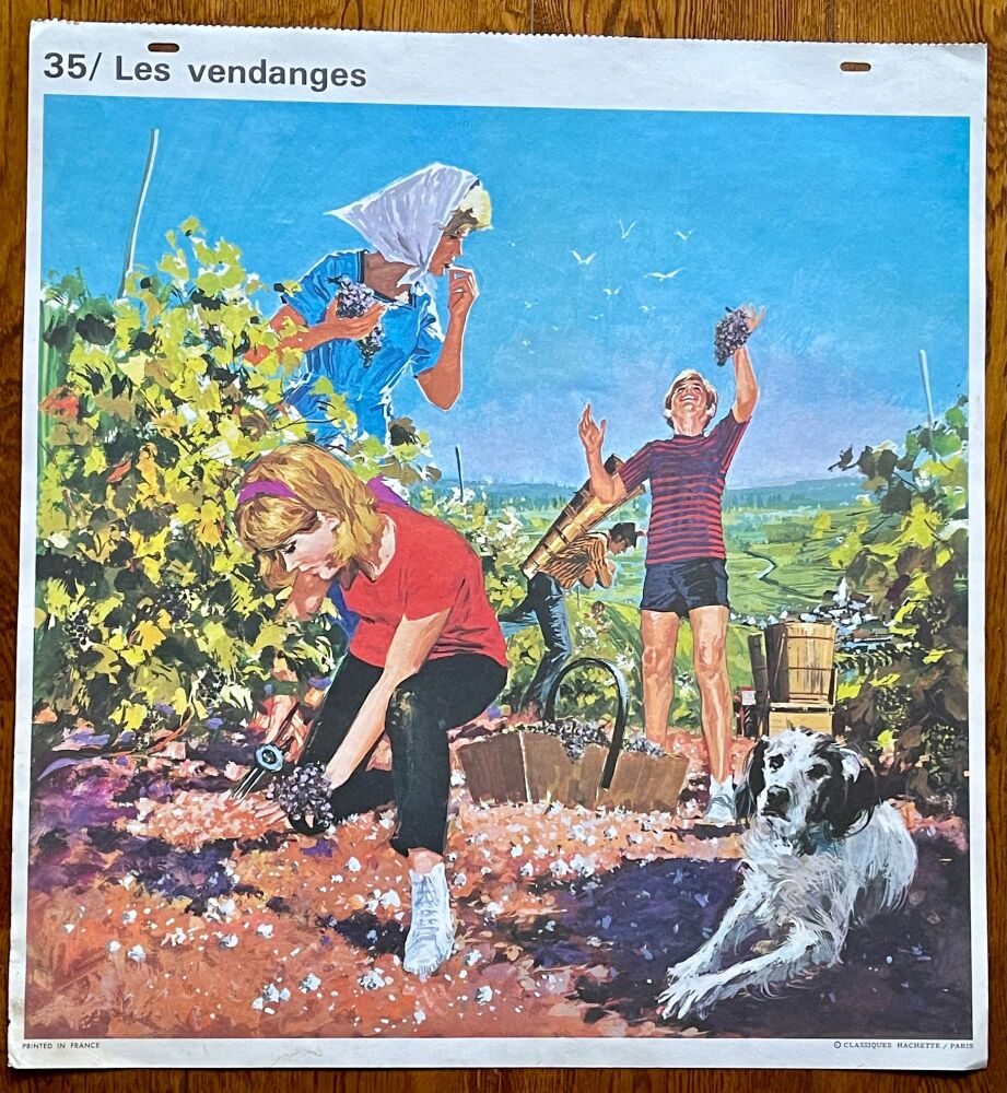 1960's French School Poster - Grape Picking/ Birthday Cake