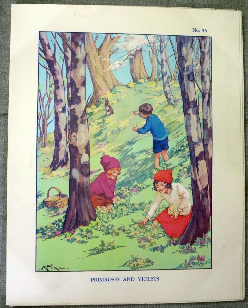 Vintage School Poster 1930's/40's - Primroses & Violets