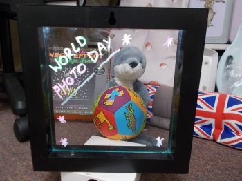 Jellycat Bashful Seal on World Photo Day