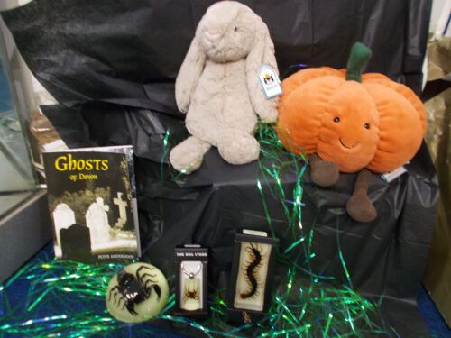 Out of the Blue Totnes Halloween 2024
