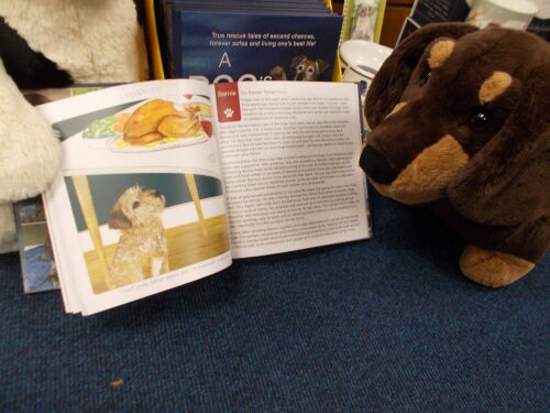 The Little Dog A Dog's Life Book