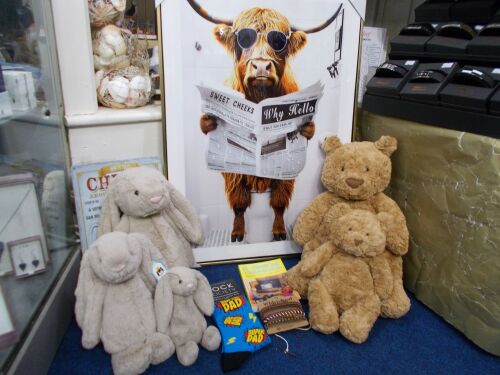 Out of the Blue Totnes Jellycat Toys