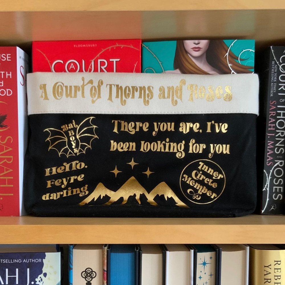 ACOTAR Book Basket, Sarah J Maas Licensed Merch, Rhysand, Feyre