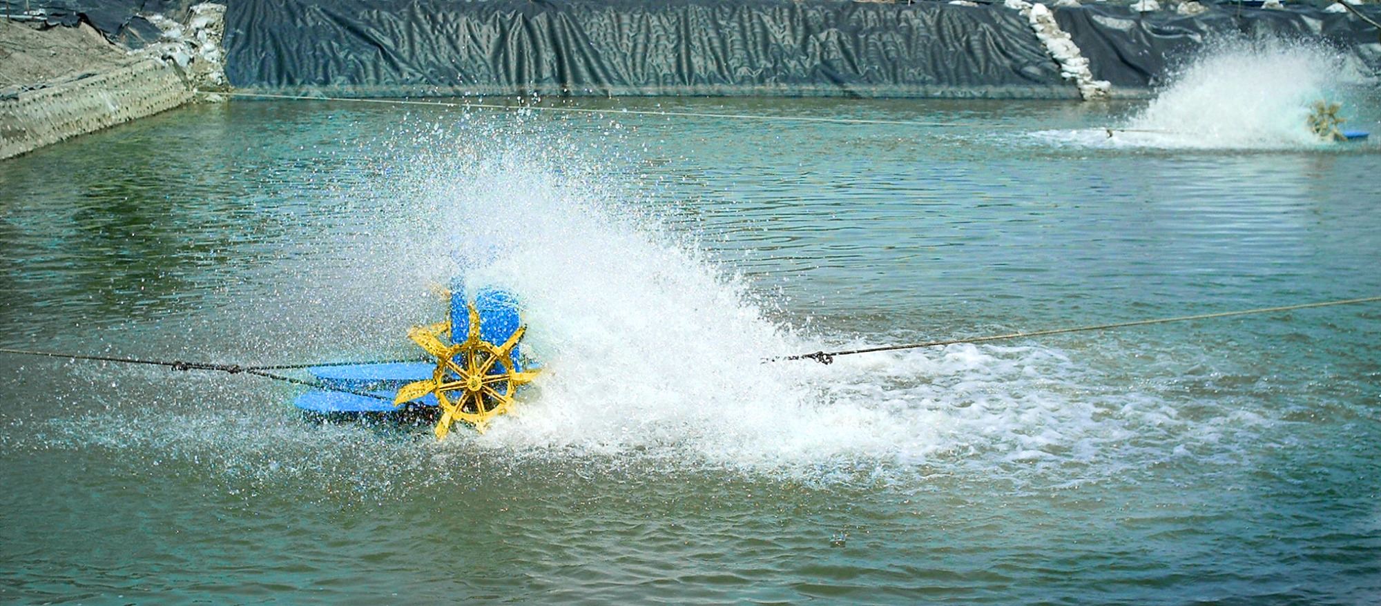 paddlewheel in operation