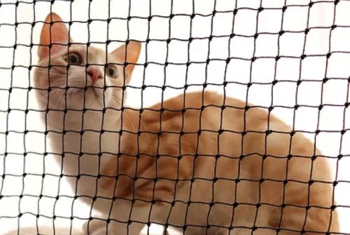 Cat Nets in Perth, Western Australia | Cat Netting Wholesalers ...