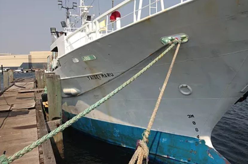 Fishing Product Suppliers in Perth, Western Australia Fishing