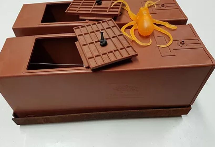 Octopus Traps Australia