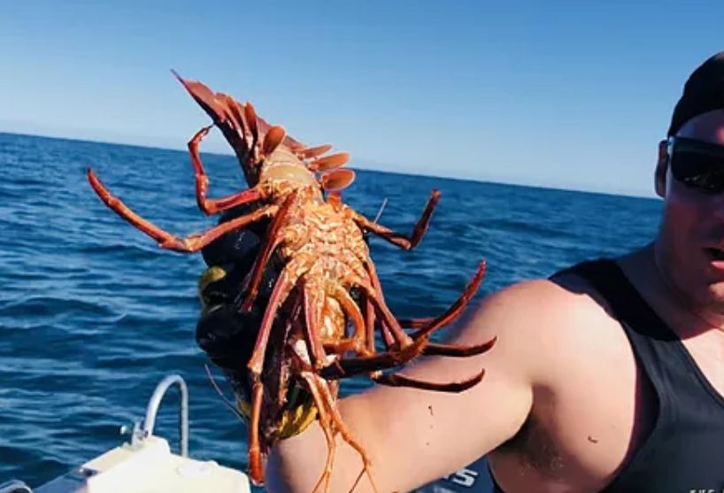 Cray Fishing Products Perth Western Australia