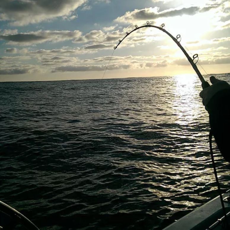 Deep Drop Fishing Products Wholesaler Perth Western Australia