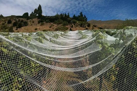 Bird Netting Supplies