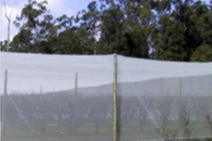 Insect Netting and Veggie Nets For Sale Australia