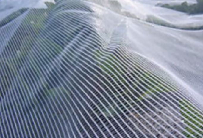 Fruit Fly Nets For Sale Australia