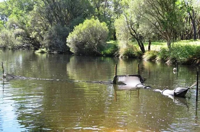 Fyke Nets For Sale Australia