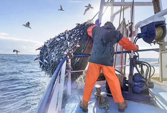 Commercial Fishing Clothing and Workwear Western Australia